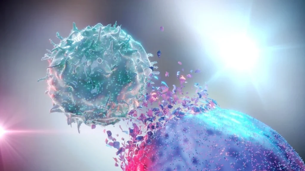 NK Cell Therapy