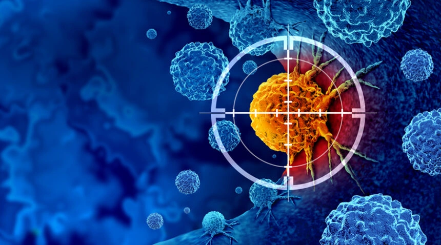 Immune Cell Therapy